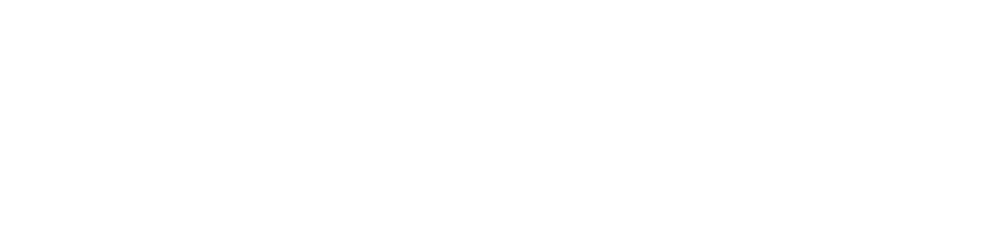 Diana Dental logo white