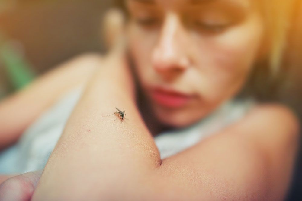Mosquito sits on woman's skin