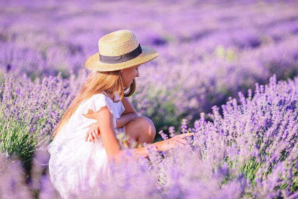 Little girl on beautiful flowers field