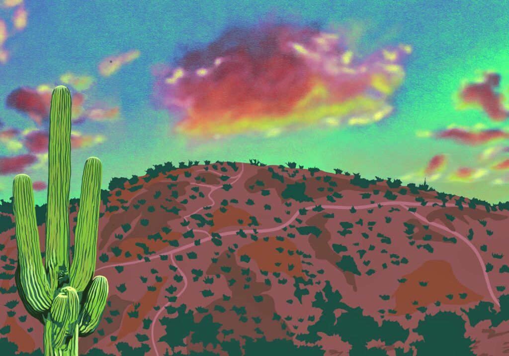 Sunset in Sonoran Desert