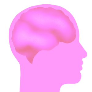 Pink brain illustration