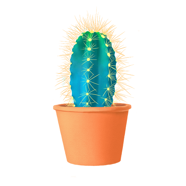 Blue cactus