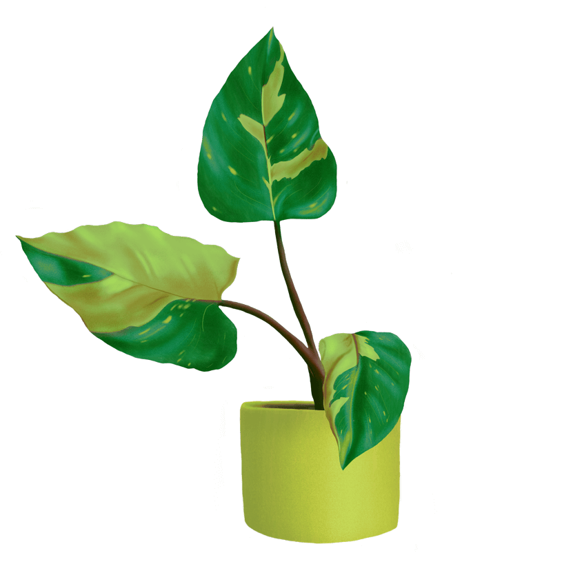 Multi green plant illustration