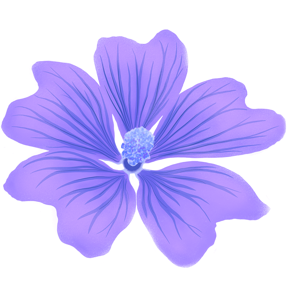 Purple flower illustration