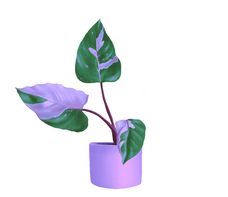 Purple plant illustration