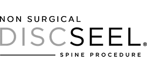 DiscSeel logo