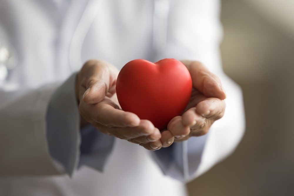 Hands of female doctor holding red heart