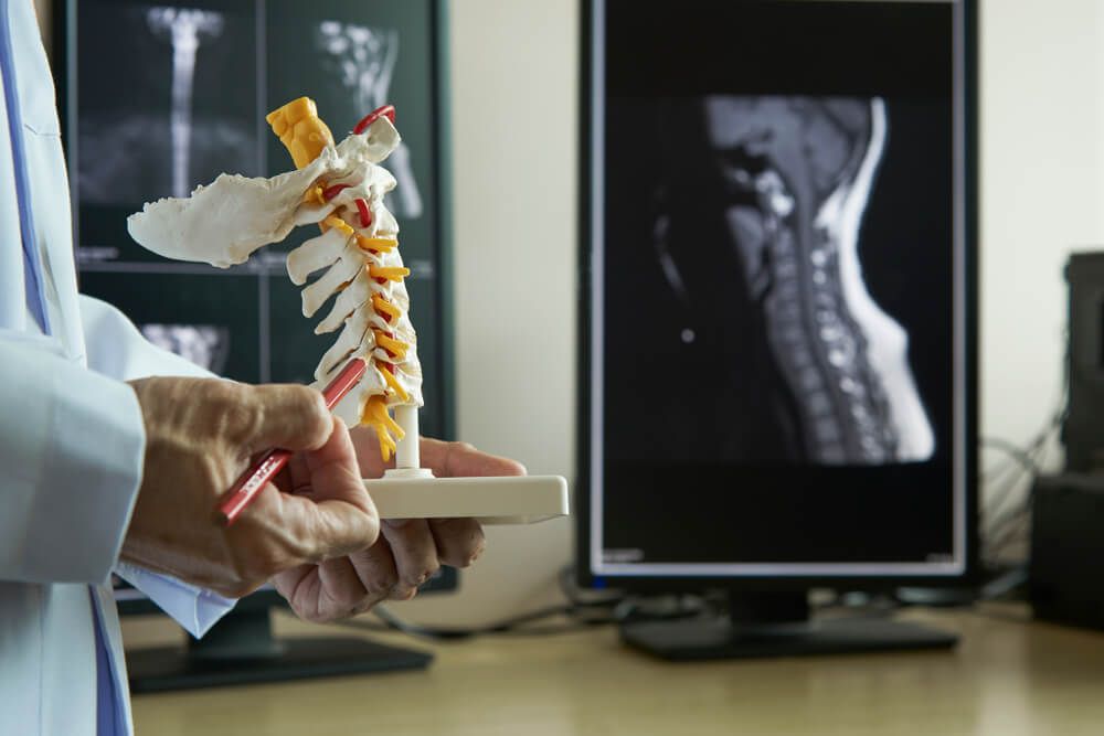 A neurosurgeon pointing and demonstrating anatomy of artificial human