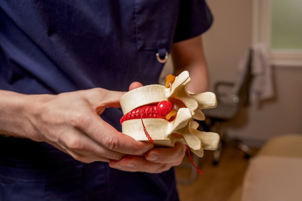 The osteopathic doctor holds in his hand a model of the spine