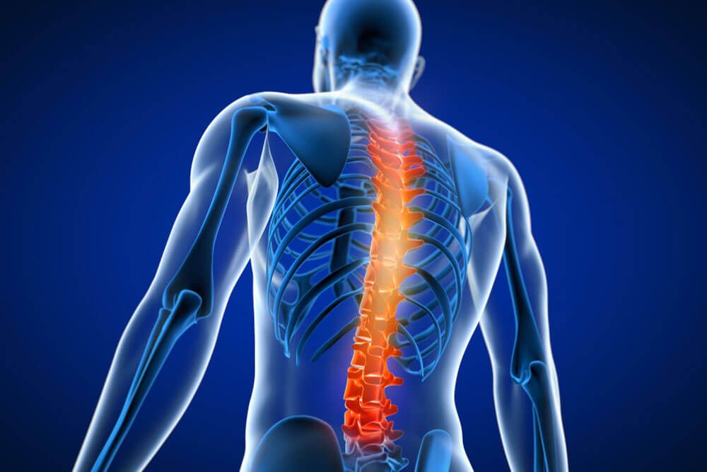 3d rendered medically accurate illustration of a man having a painful back