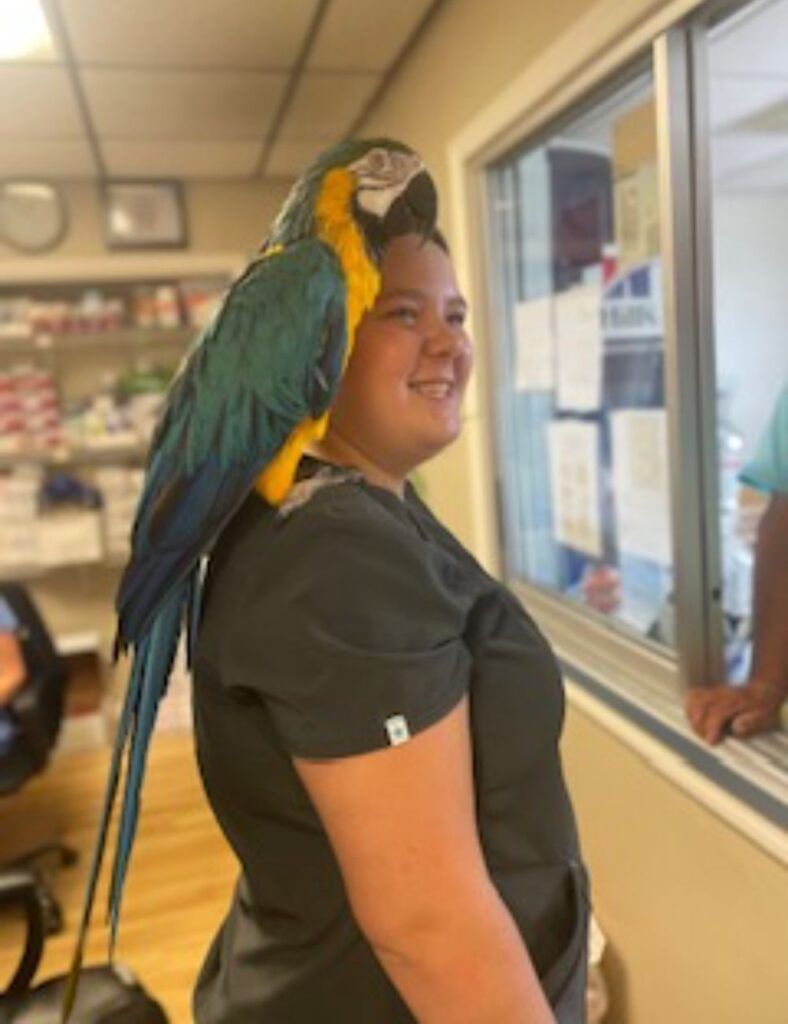 Meet Our Team Garner Veterinary Services Venice, FL