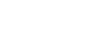American Osteopathic Academy of Orthopedics logo