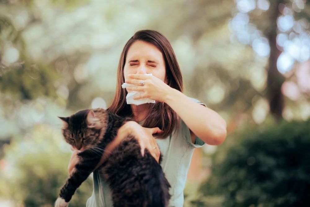Woman Holding a Cat Sneezing from Allergies