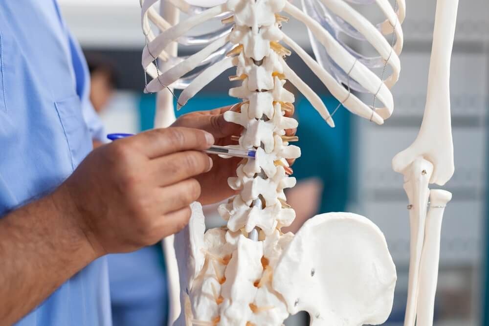 Close up of nurse pointing at spine bones