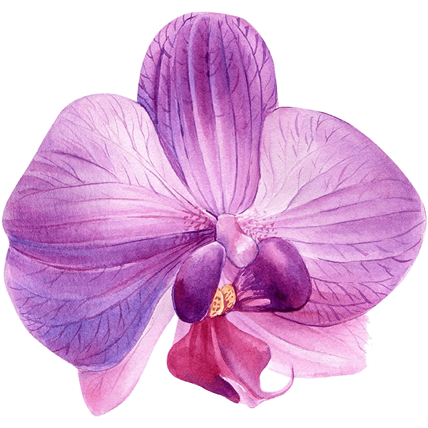 Site Favicon - SuperBloom