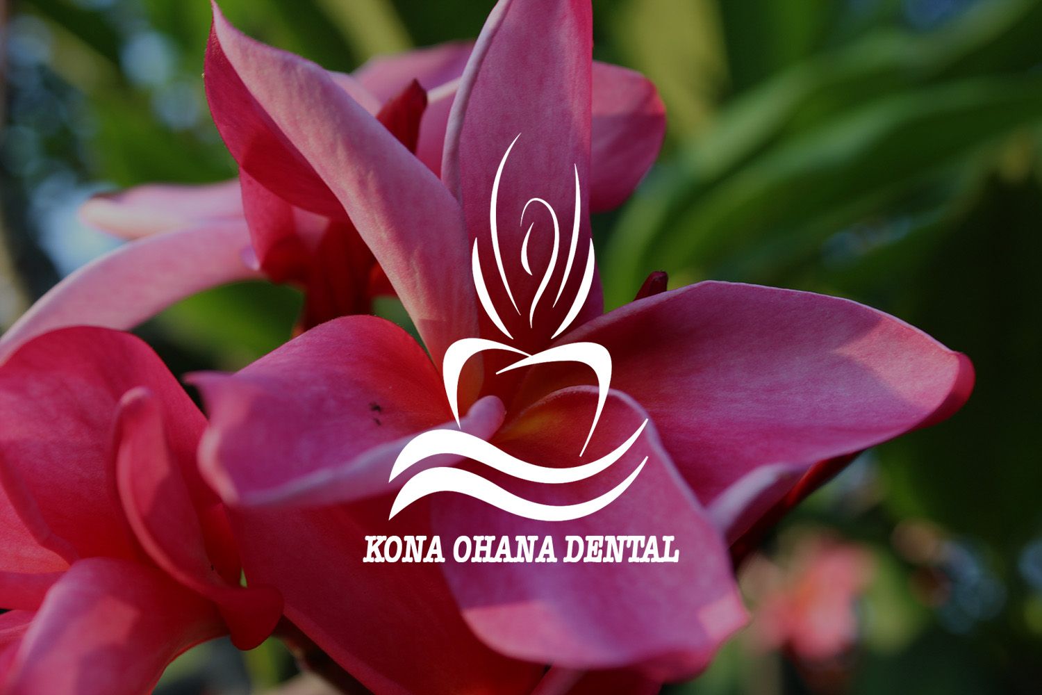 Notice of Privacy Practices - Kona Ohana Dental