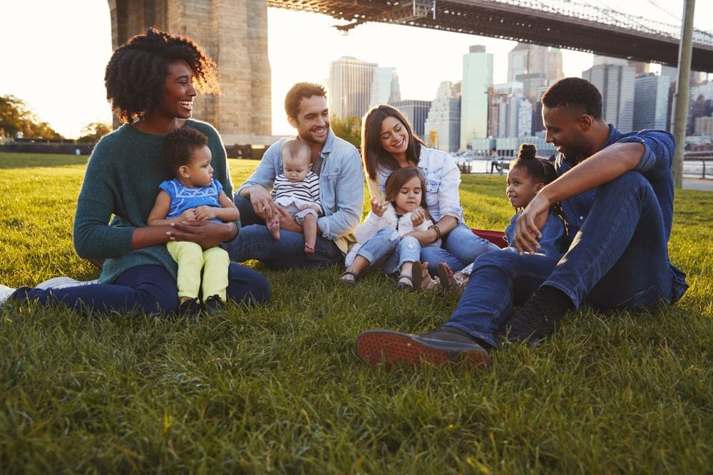 Happy Families at the Park