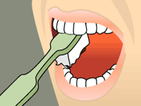 Brushing: Step 3 Illustration