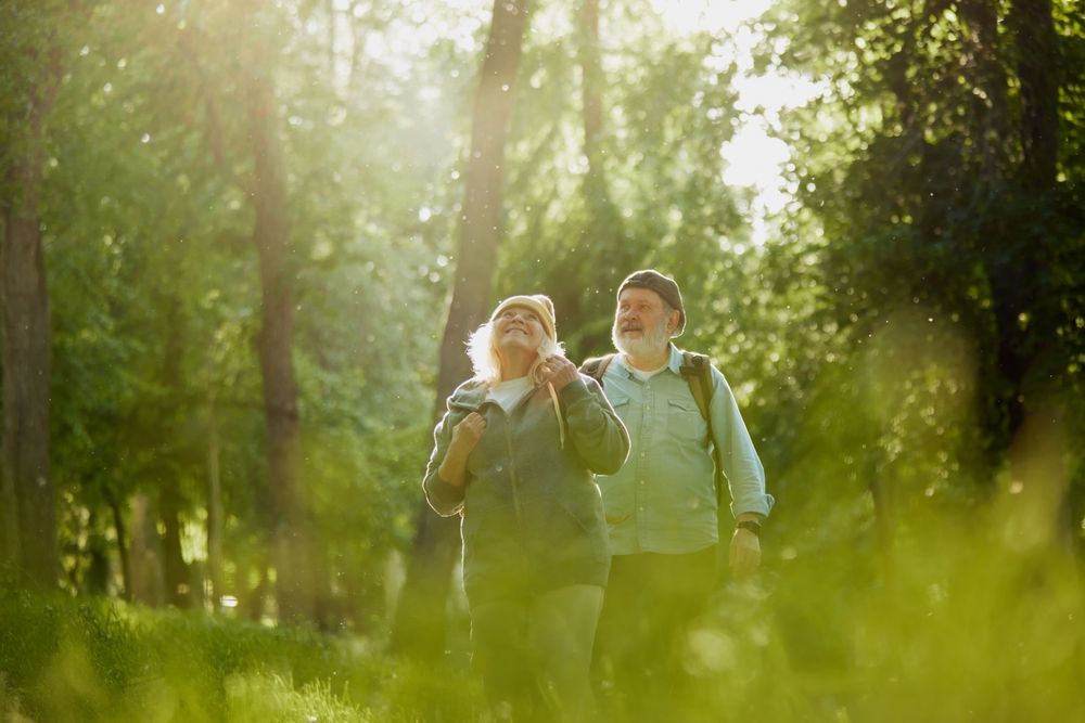 Bioidentical Hormone Therapy How It Differs from Traditional HRT
