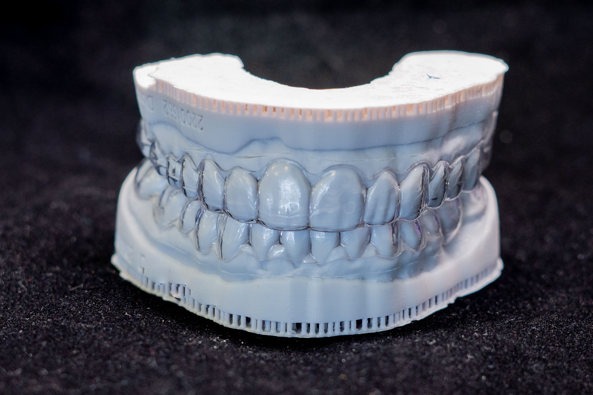 tooth model