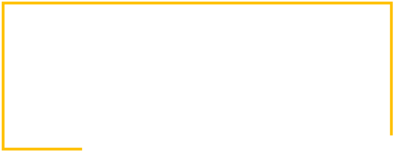 Logo - Vyvo Therapeutics