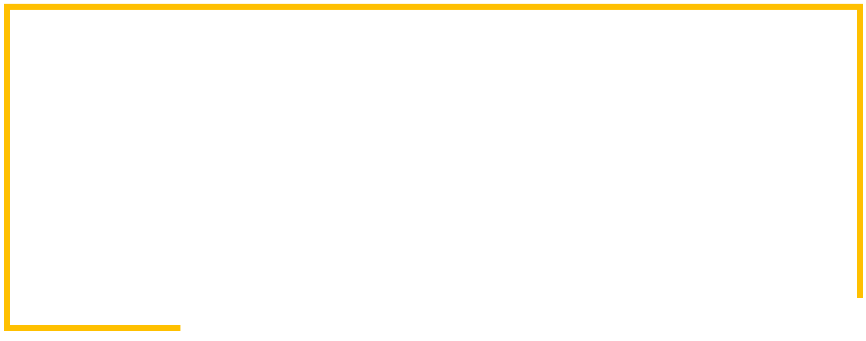 Logo - Vyvo Therapeutics