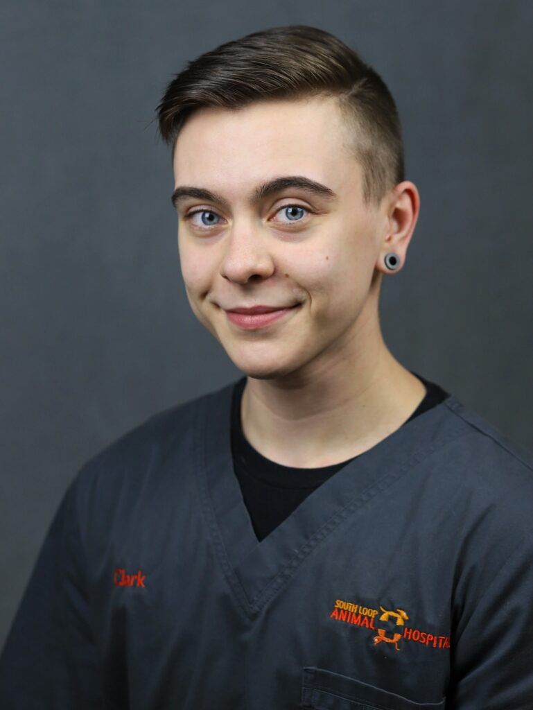 CLARK - VETERINARY TECHNICIAN