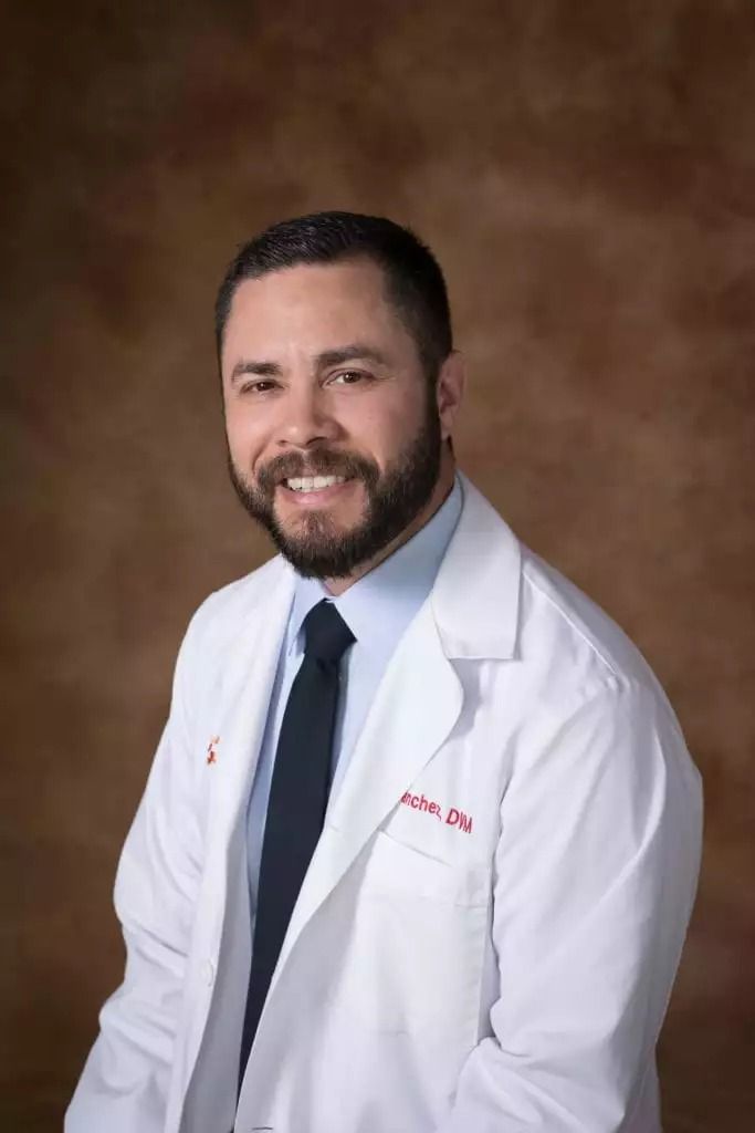 DR. DAN SANCHEZ - VETERINARIAN