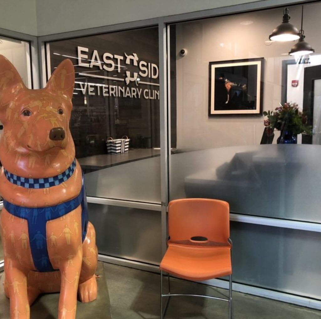 South loop Animal Hospital interior