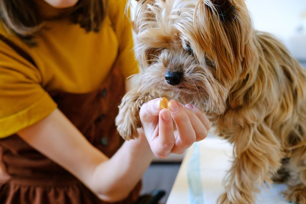 Woman Giving Omega 3 Vitamins Pills