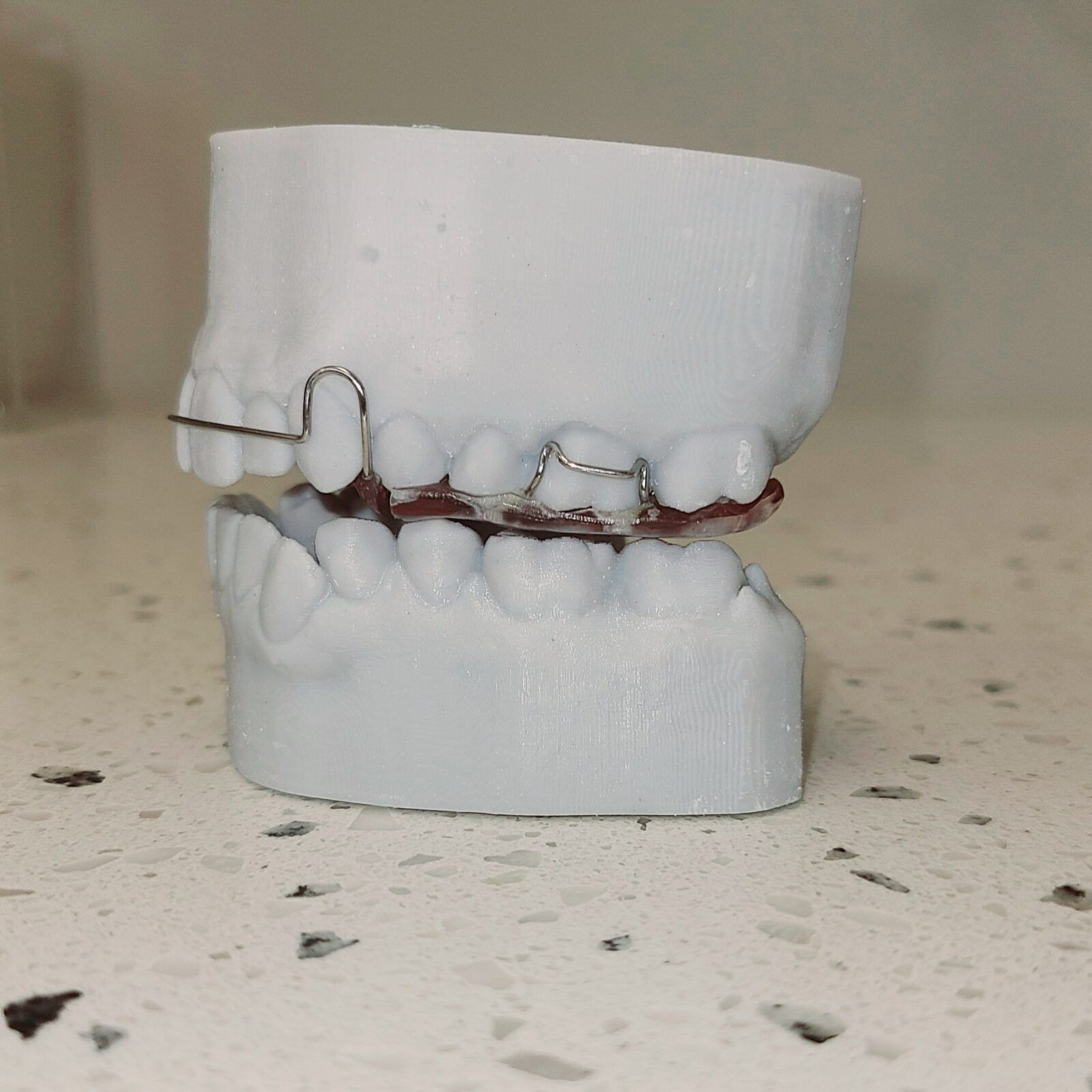 Dental model used in dentistry