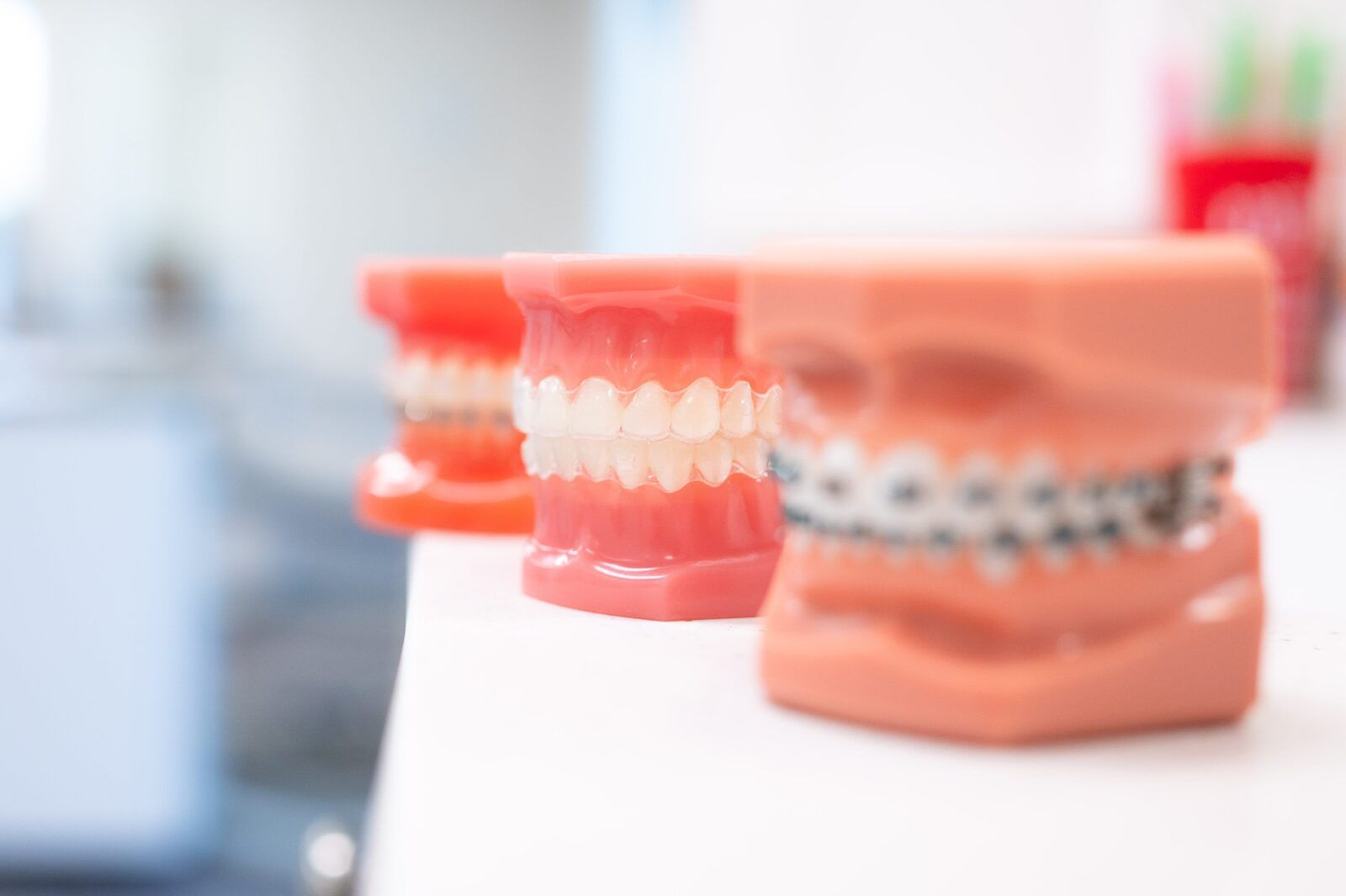 Dental model of the human jaws with teeth and braces