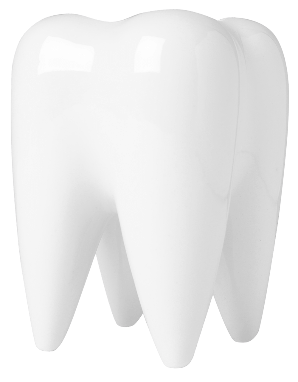 3D illustration of human tooth