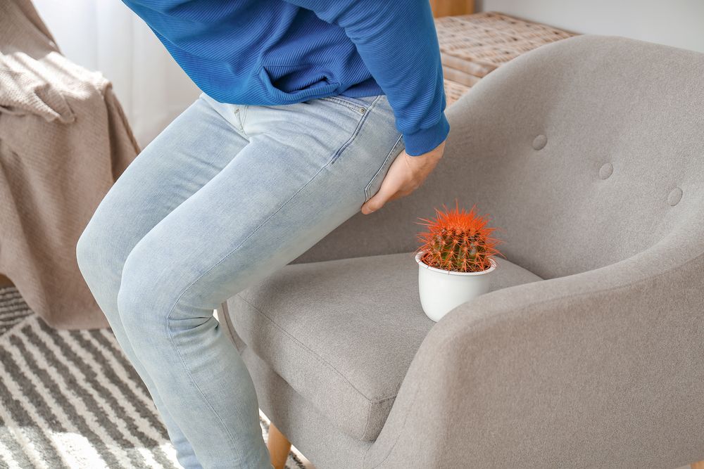 Young Man Near Armchair With Cactus