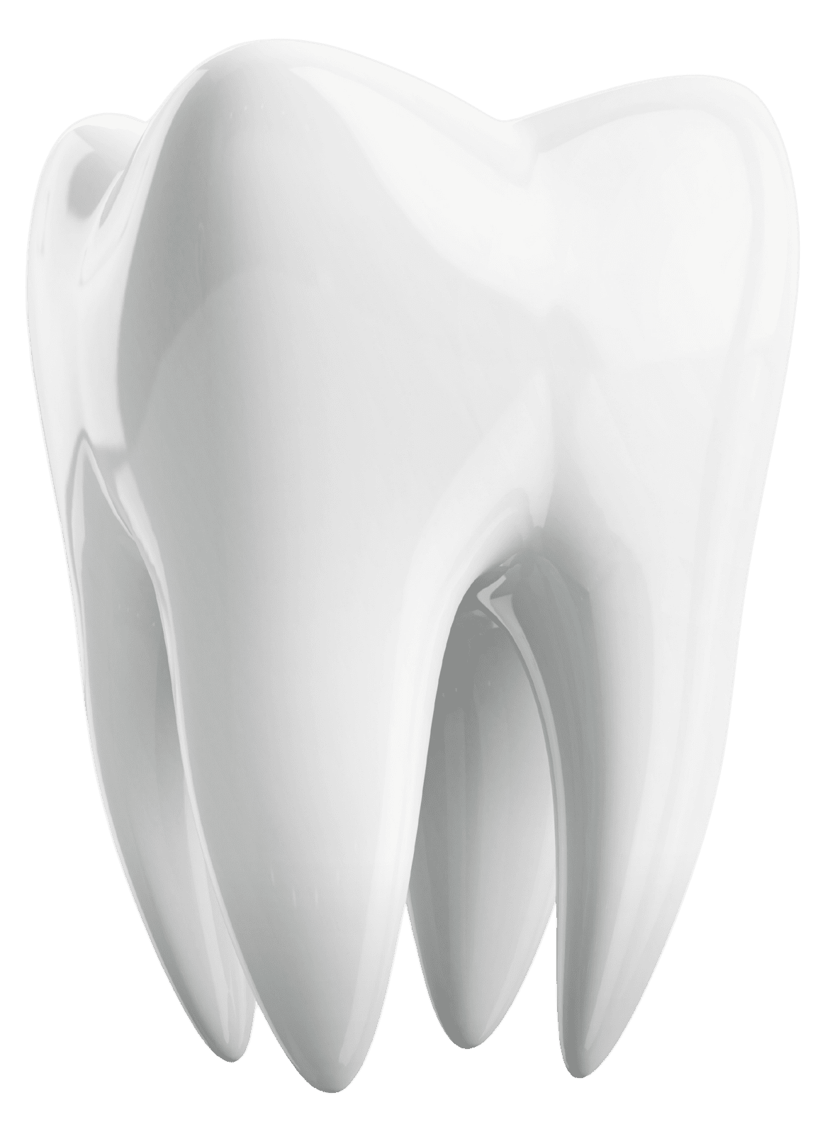 White Isolated Tooth
