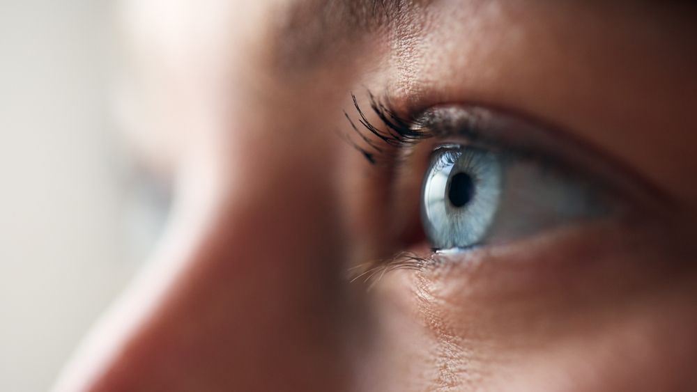 Macro Studio Expression Shot Of Woman's Eye With Close Up On Eyelashes And Pupil