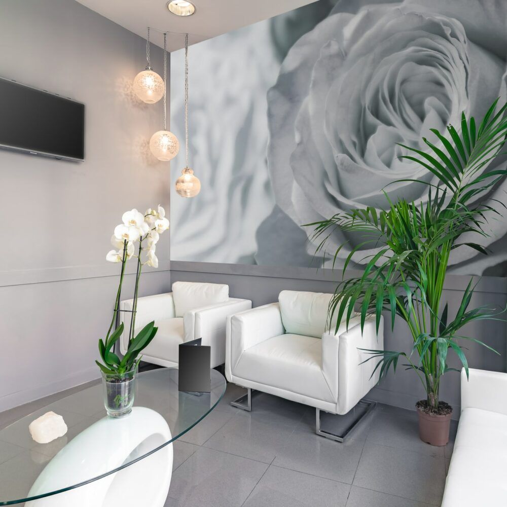 Modern office interior