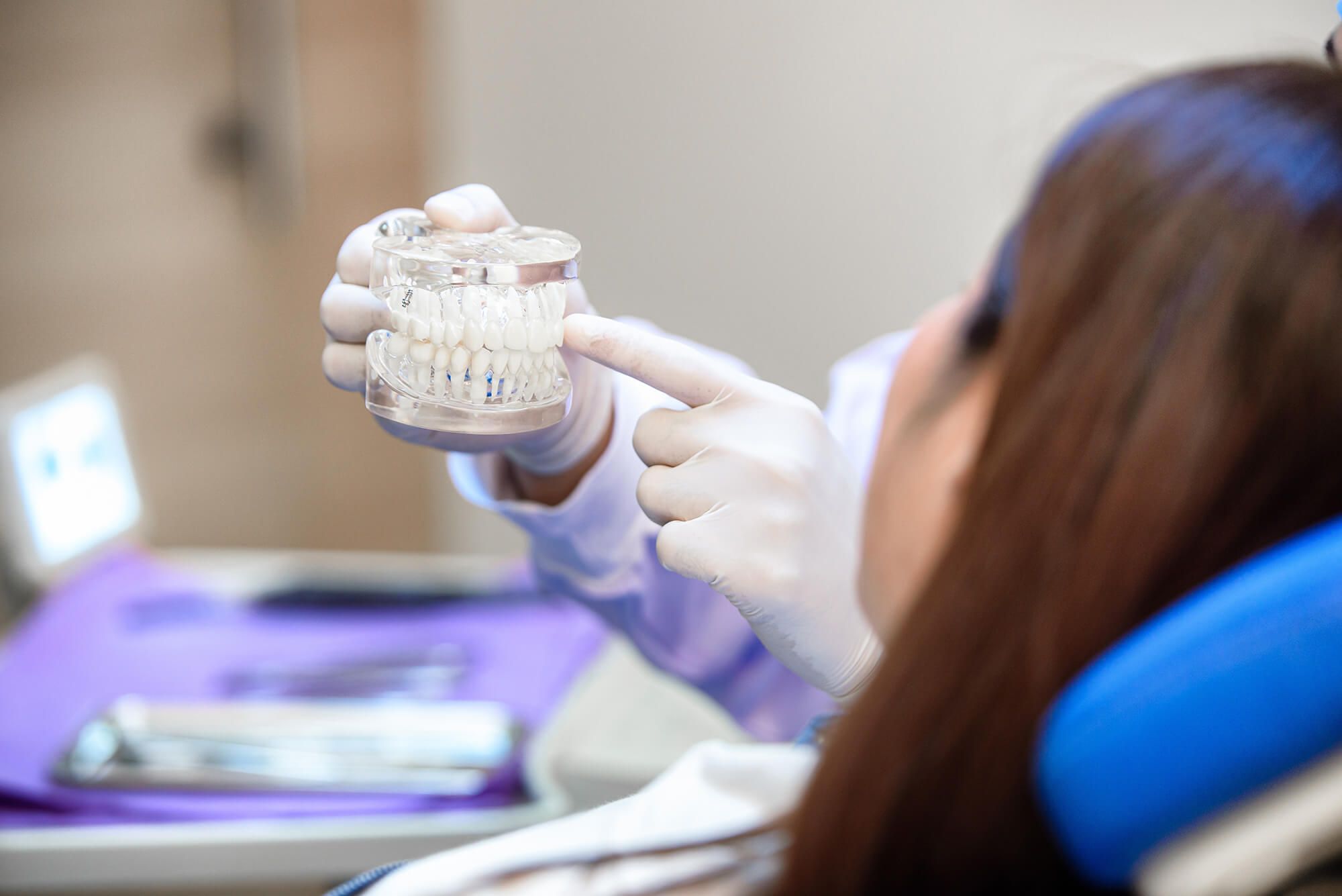 Dental professional showing mouth model to patient