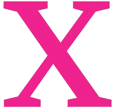 X Icon
