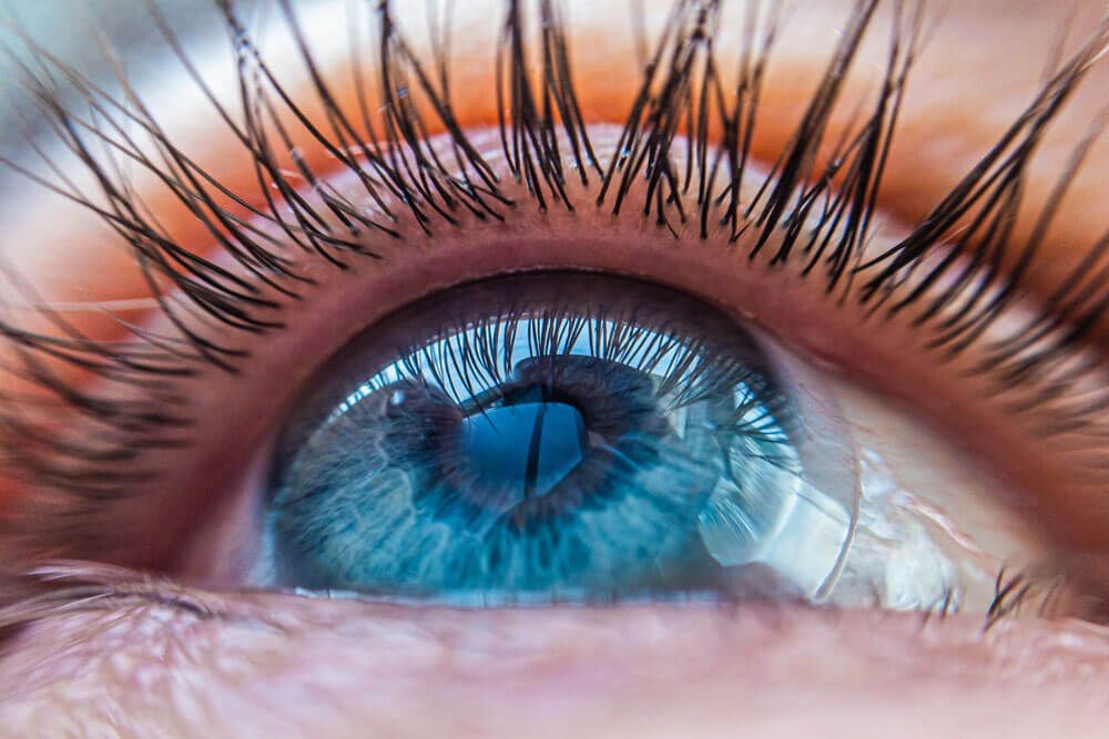 caucasian human blue eye in a contact lens looking up
