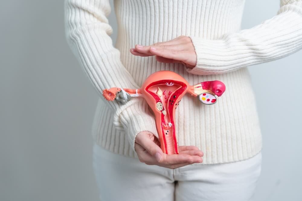 Woman holding Uterus and Ovaries model