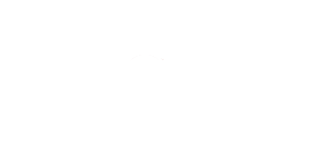 Best of north Atlanta - logo