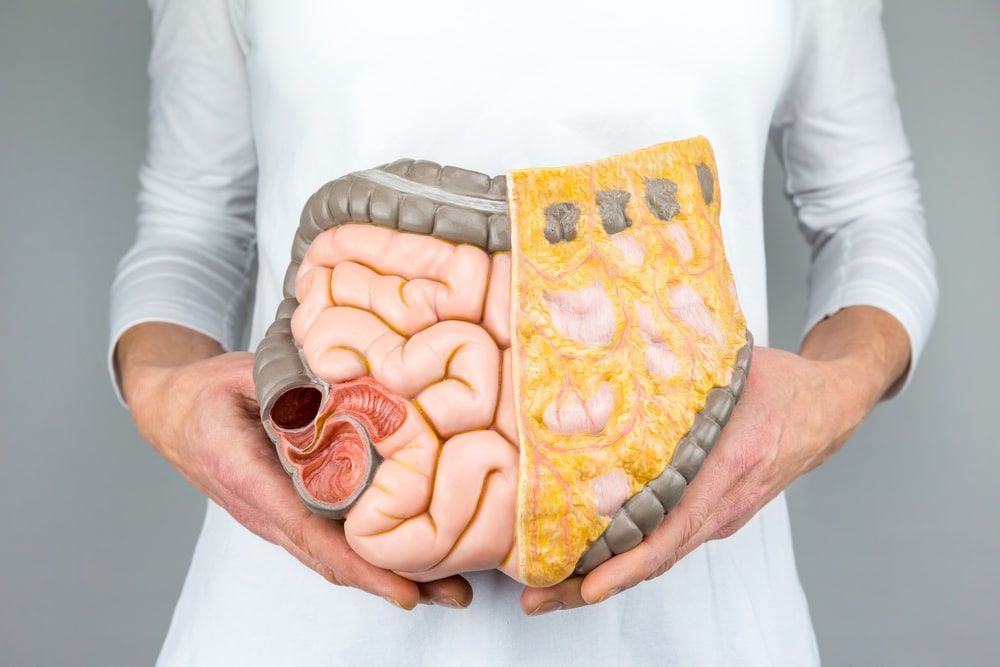 Woman holding model of human intestines