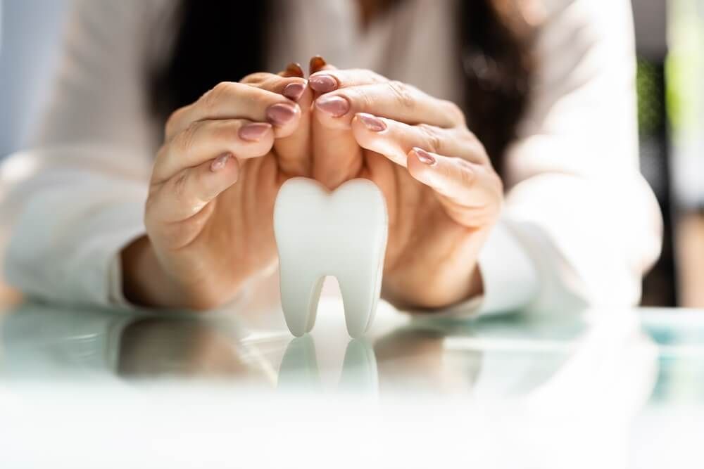 dentist showing Dental Tooth model