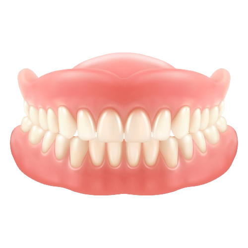 Dental jaw