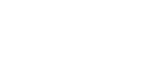 New hampshire logo white