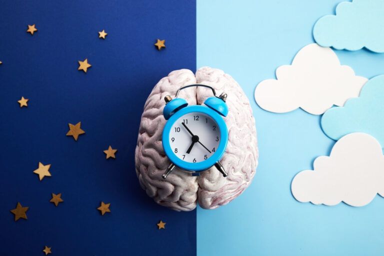 The circadian rhythms are controlled by circadian clocks